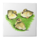 Snowy Mallard Ducklings Tegeltje (Voorkant)