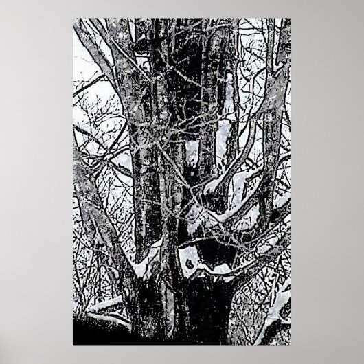 Snowy Maple Poster The MUSEUM Zazzle Gifts (Voorkant)