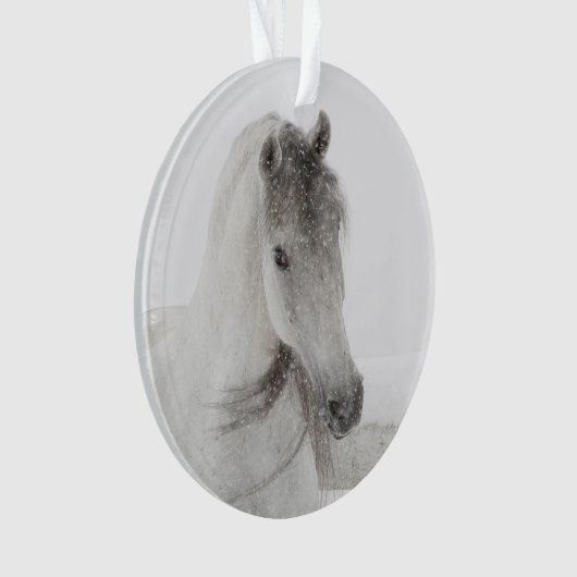 Snowy Mare Horse Ornament (voorkant)