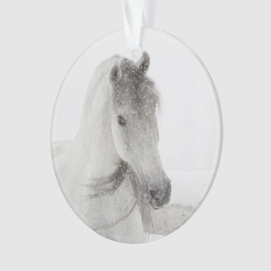 Snowy Mare Horse Ornament (voorkant)