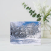 Snowy Marthaler Park en Trees Briefkaart (Staand voorkant)
