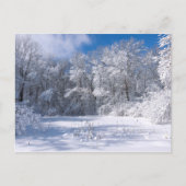Snowy Marthaler Park en Trees Briefkaart (Voorkant)