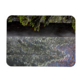 Snowy Mist in het bos Magneet (Horizontaal)