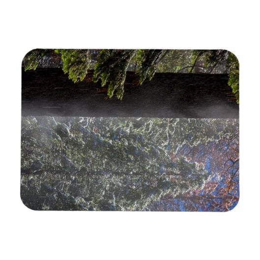 Snowy Mist in het bos Magneet (Horizontaal)