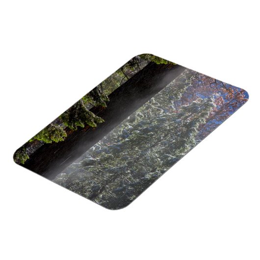 Snowy Mist in het bos Magneet (Linkerzijde)