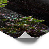 Snowy Mist in het bos Poster (Hoek)