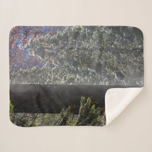 Snowy Mist in het bos Sherpa Deken (Voorkant (horizontaal))