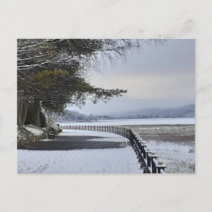 Snowy Morning Briefkaart