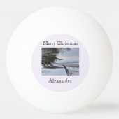 Snowy Morning Pingpongbal (Voorkant)