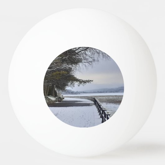 Snowy Morning Pingpongbal (Achterkant)