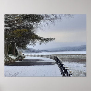 Snowy Morning Poster