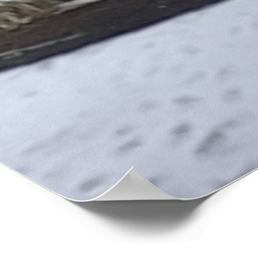 Snowy Morning Poster (Hoek)