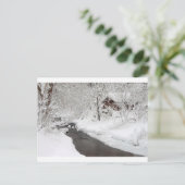 Snowy Mountain Cabin and Creek Briefkaart (Staand voorkant)