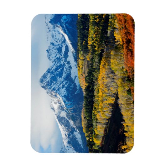 Snowy Mountain & Trees Magneet (Verticaal)