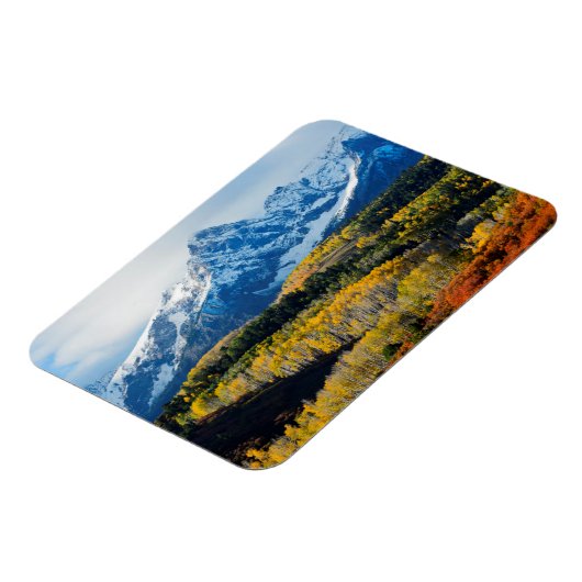 Snowy Mountain & Trees Magneet (Linkerzijde)