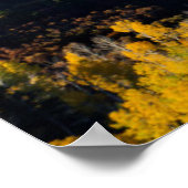 Snowy Mountain & Trees Poster (Hoek)