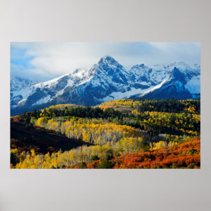 Snowy Mountain & Trees Poster