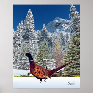 Snowy Mountains met Pheasant Semi Gloss-Poster Poster