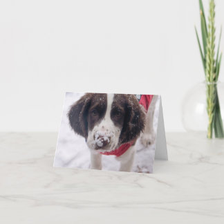 Snowy Nose Puppy Feestdagen Kaart