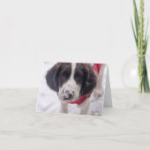 Snowy Nose Puppy Feestdagen Kaart (Voorkant)