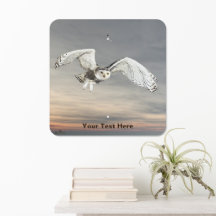 Snowy Owl