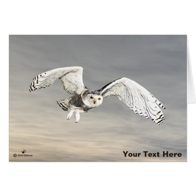 Snowy Owl (Voorkant Horizontaal)