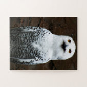 Snowy Owl 11x14 30pc jpm Legpuzzel (Horizontaal)