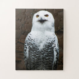 Snowy Owl 11x14 30pc jpm Legpuzzel