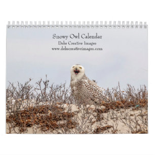 Snowy Owl 2025 Kalender