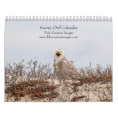 Snowy Owl 2026 Kalender (Hoes)