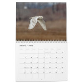 Snowy Owl 2026 Kalender (Jan 2026)