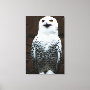 Snowy Owl 24x36 (60x90cm) Canvas Afdruk
