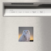 Snowy Owl 2" magneet (Insitu (Vaatwasser))
