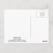 Snowy Owl 9470 Briefkaart (Achterkant)
