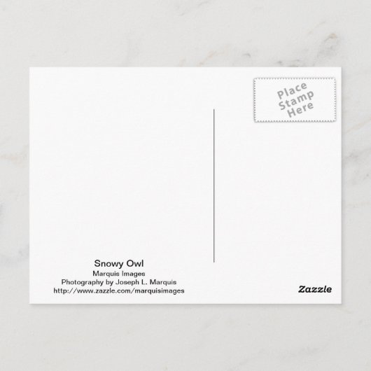 Snowy Owl 9470 Briefkaart (Achterkant)