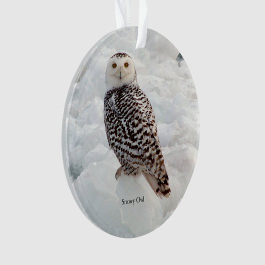 Snowy Owl acrylornament Ornament (voorkant)