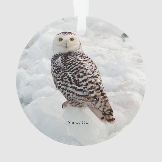 Snowy Owl acrylornament Ornament (achterkant)