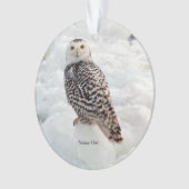 Snowy Owl acrylornament Ornament (voorkant)