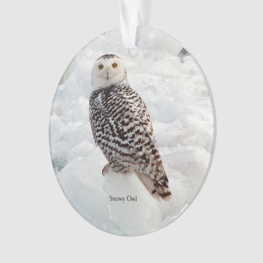 Snowy Owl acrylornament Ornament (voorkant)