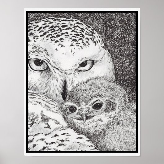 Snowy Owl and Baby Owl Poster (Voorkant)