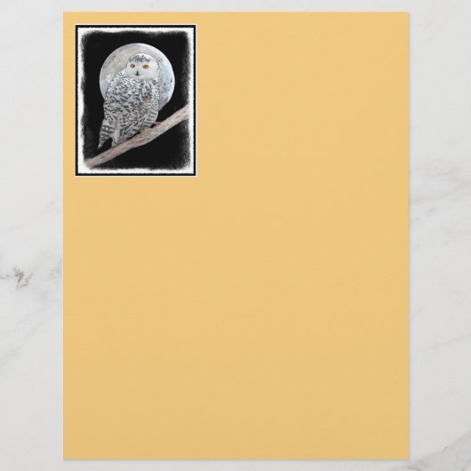 Snowy Owl and Moon Painting - Original Bird Art (Voorkant)