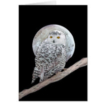 Snowy Owl and Moon Painting - Original Bird Art