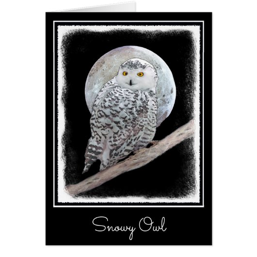 Snowy Owl and Moon Painting - Original Bird Art (Voorkant)