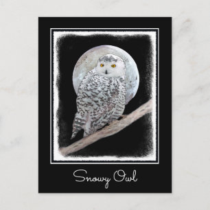 Snowy Owl and Moon Painting - Original Bird Art Briefkaart