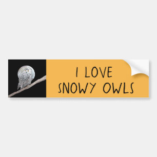 Snowy Owl and Moon Painting - Original Bird Art Bumpersticker