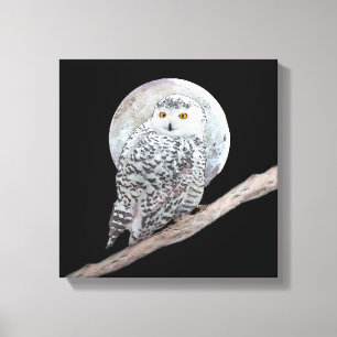 Snowy Owl and Moon Painting - Original Bird Art Canvas Afdruk