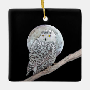 Snowy Owl and Moon Painting - Original Bird Art Keramisch Ornament