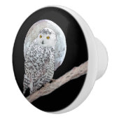 Snowy Owl and Moon Painting - Original Bird Art Keramische Knop (Rechts)