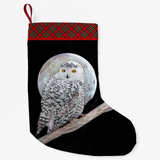 Snowy Owl and Moon Painting - Original Bird Art Kleine Kerstsok (Voorkant)