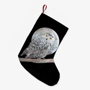 Snowy Owl and Moon Painting - Original Bird Art Kleine Kerstsok